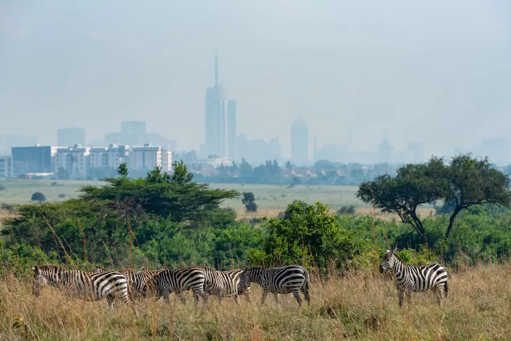 Park Inn by Radisson