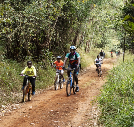 Karura Forest