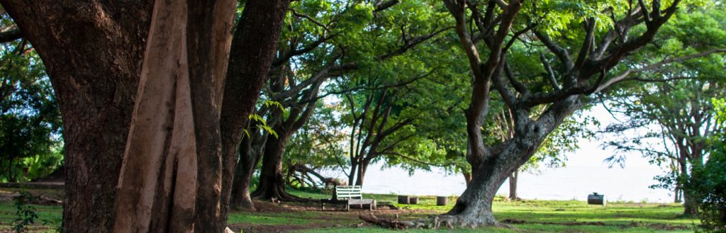 KWS-Kisumu Impala Sanctuary
