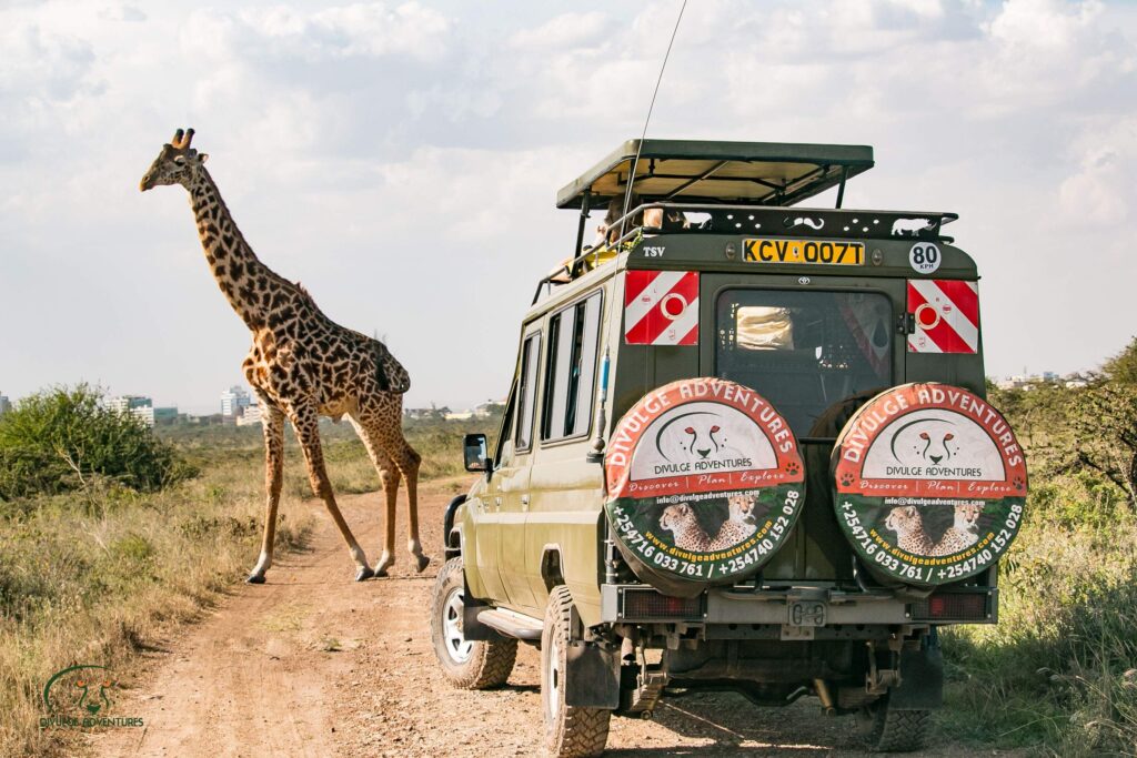 Safari Tour; Nairobi National Park