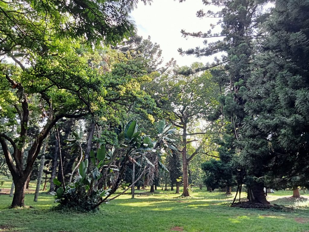 Nairobi Arboretum