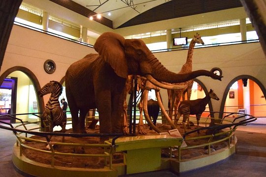 National Museum of Kenya