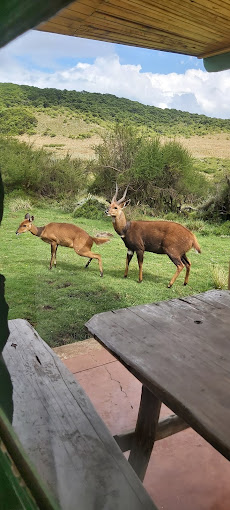 Aberdare Fishing Lodge