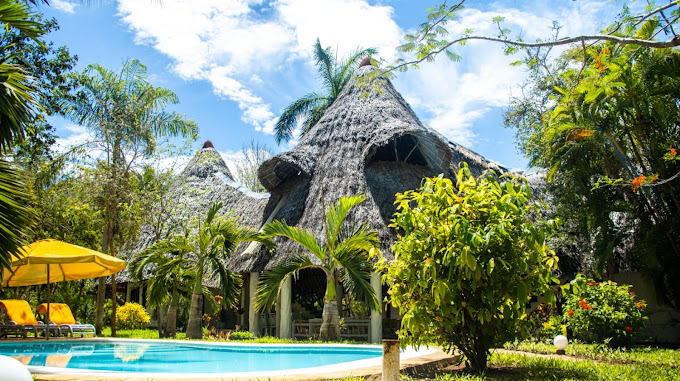 Forest Whispers Diani Beach