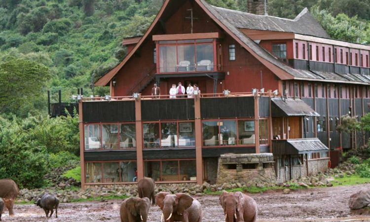 Aberdare National Park