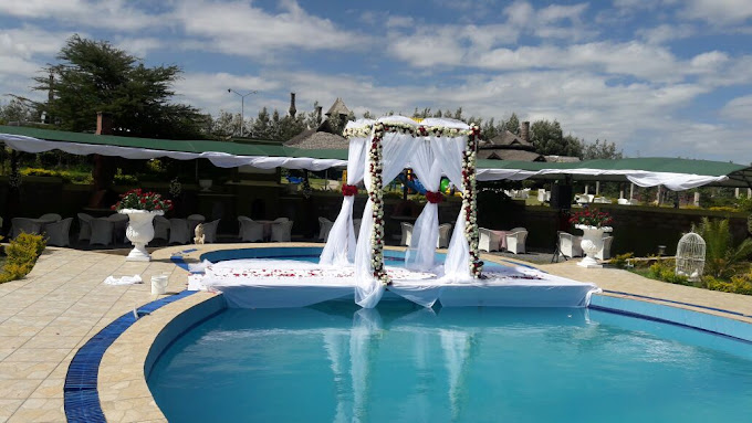 Giraffe Ark Game Lodge