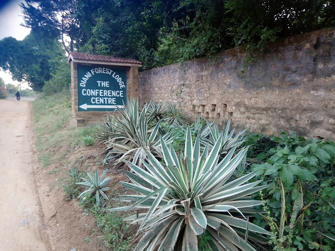 Diani Forest Lodge