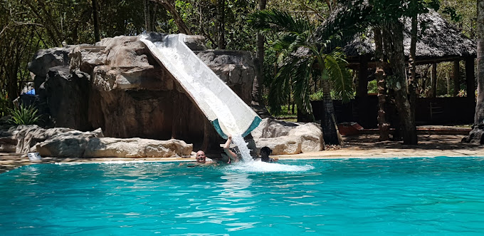 Forest Dream Cottages (Resort)