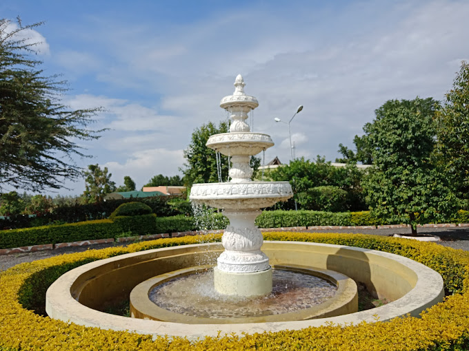 Giraffe Ark Game Lodge