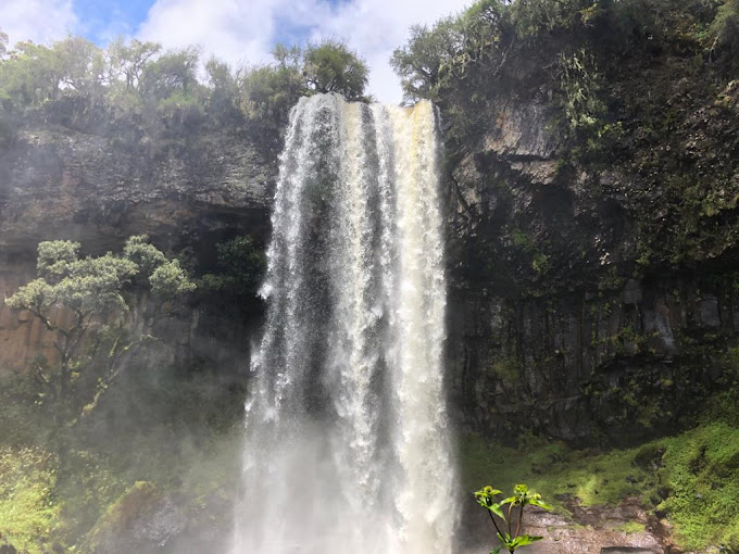 Aberdare Fishing Lodge