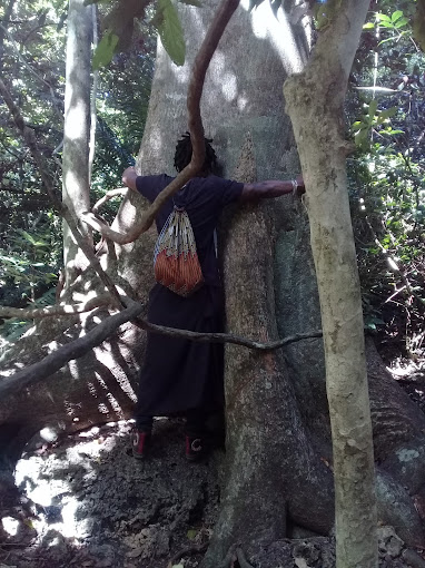 Kaya Kinondo Sacred Forest