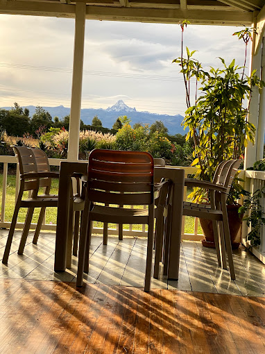 The 100 Year Old House