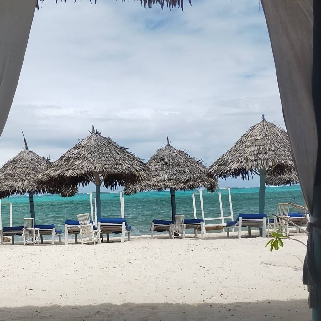 Salama Beach Jacaranda