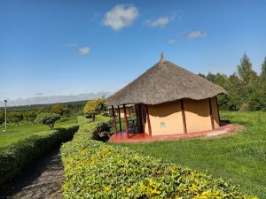 The Great Circle Lodge