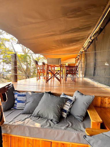 Olesamara Collection