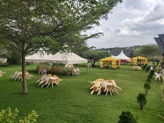 Whistling Morans Ltd