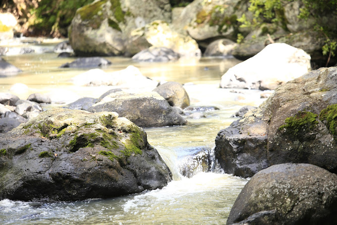 Chaka Riverside Gardens