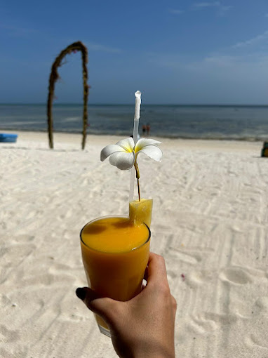 Alex Beach Bar & Restaurant