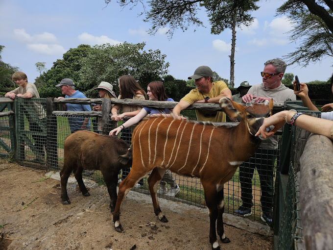 Mount Kenya Wildlife Conservancy