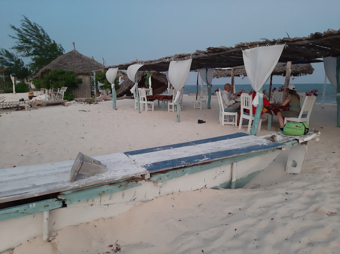 Salama Beach Jacaranda