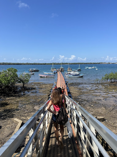 Kisite-Mpunguti Marine National Park