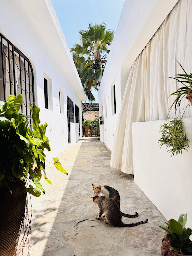 Tembo Village watamu