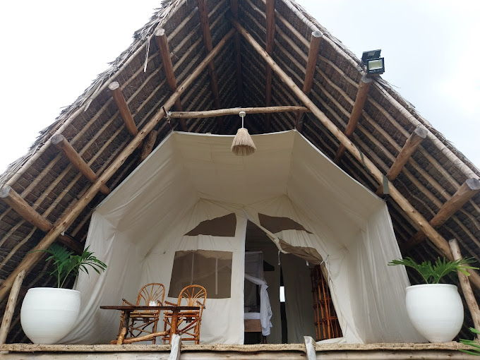 HAG hamida art gallery