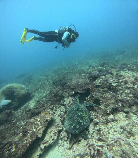 Yellow Fins Diving Kenya