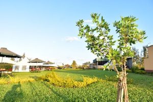 Koma gardens and resort