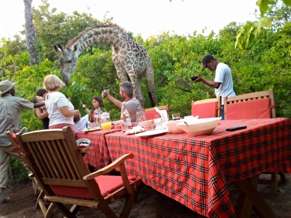 BoraBora Wildlife Park and Luxury Tented Safari Camp Diani