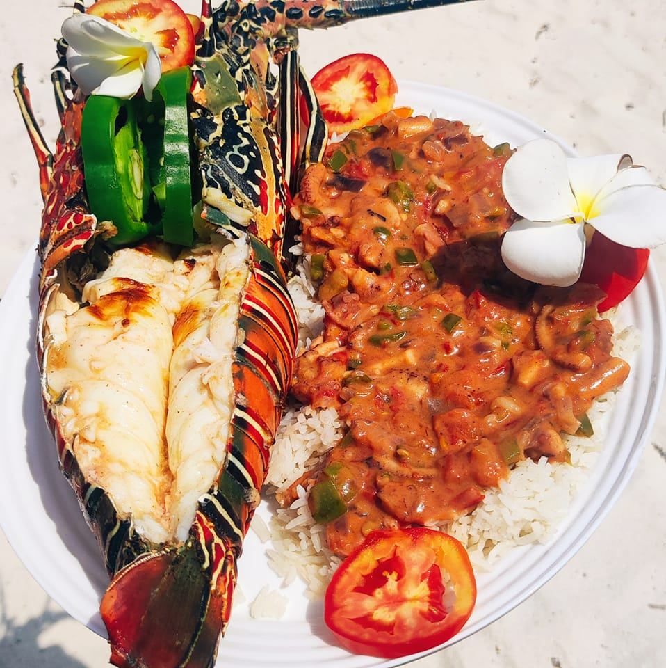 Salama Beach Jacaranda