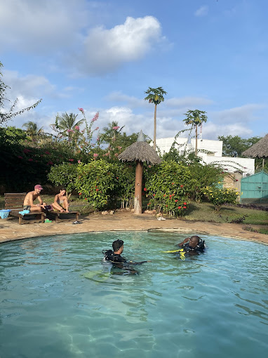 Yellow Fins Diving Kenya