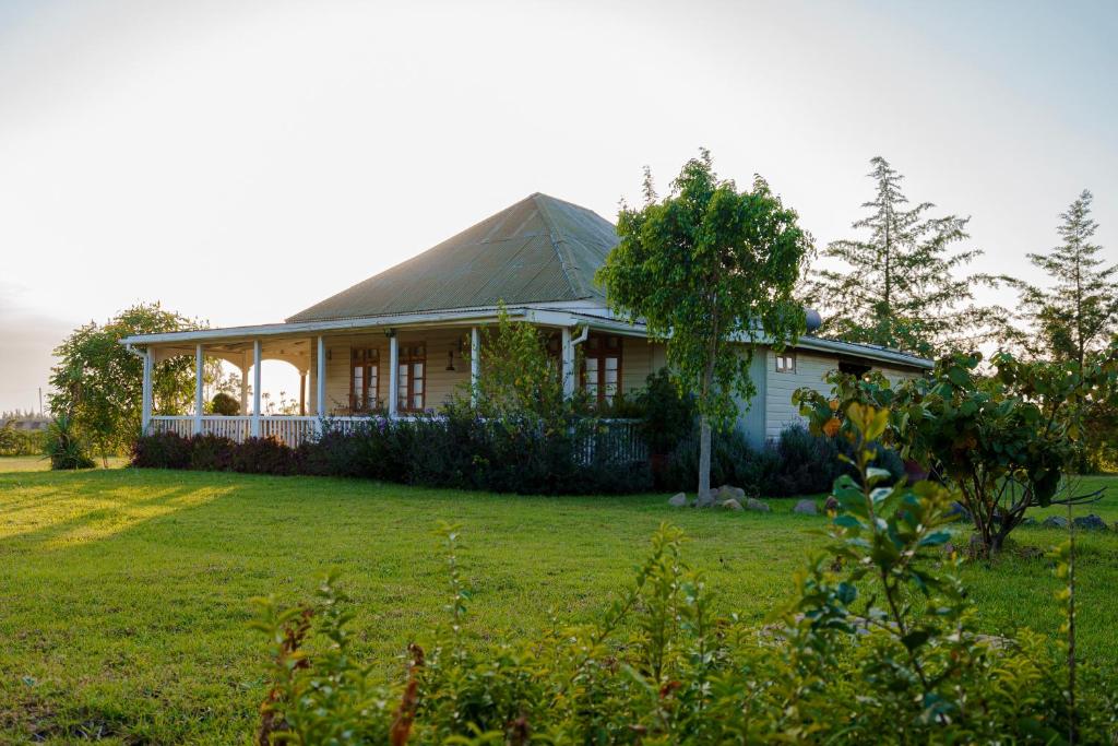 The 100 Year Old House