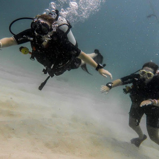 Ocean Tribe – 5 Star Scuba Diving Centre