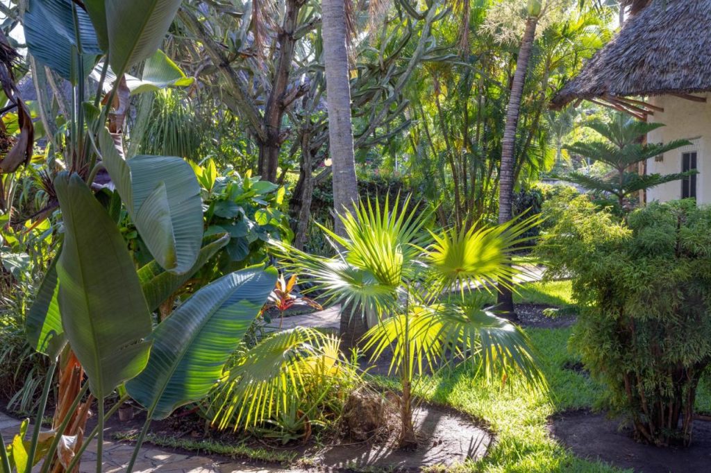 Aestus Villas Resort