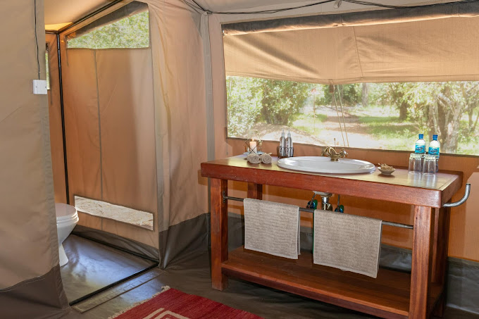 Hammerkop Migration Camp