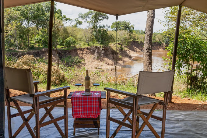 Hammerkop Migration Camp