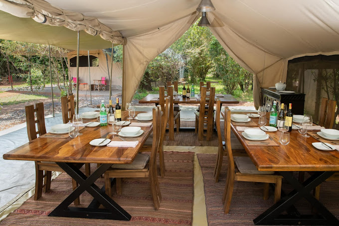 Hammerkop Migration Camp