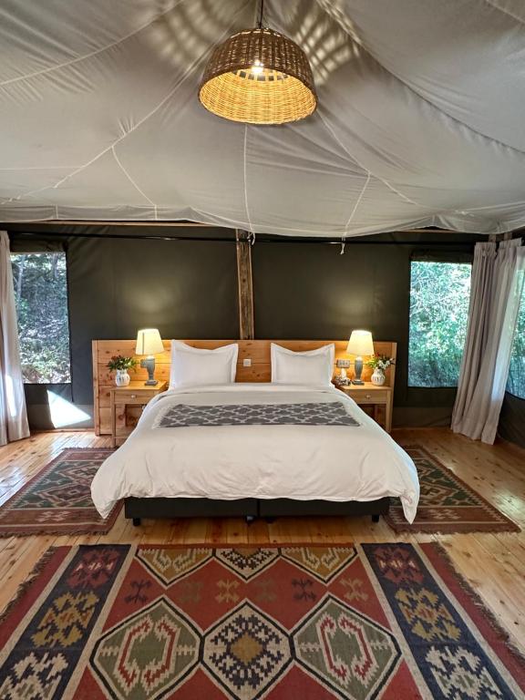 Olesamara Collection