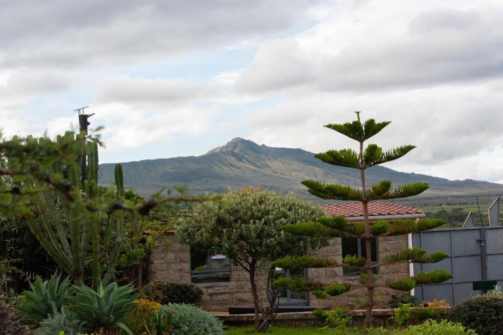 Homely Cottage Near Lake Naivasha, Elwai Visitor Centre