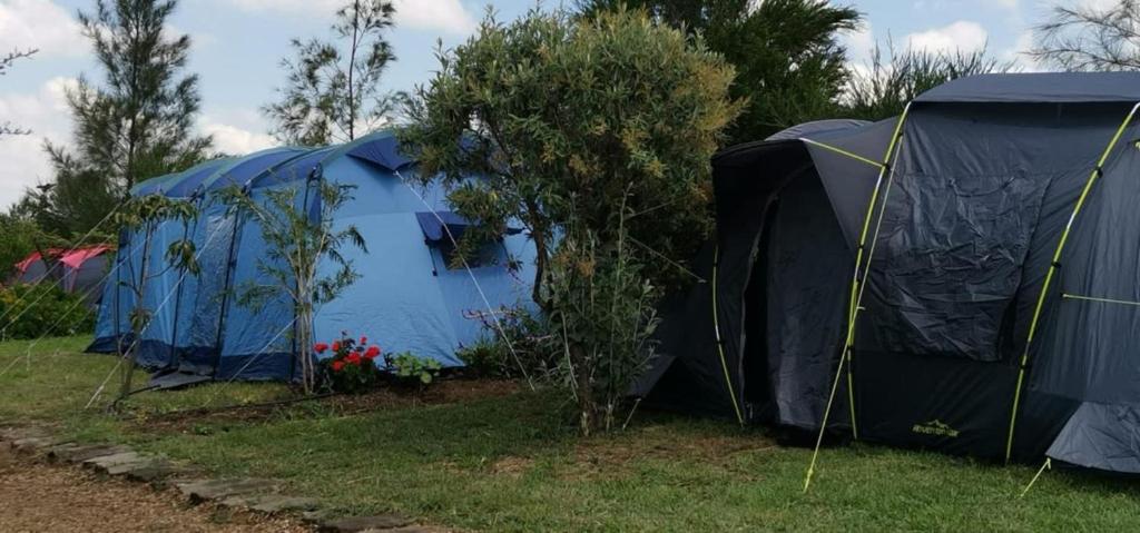 Camping Near Mt Longonot, Elwai Camping Centre