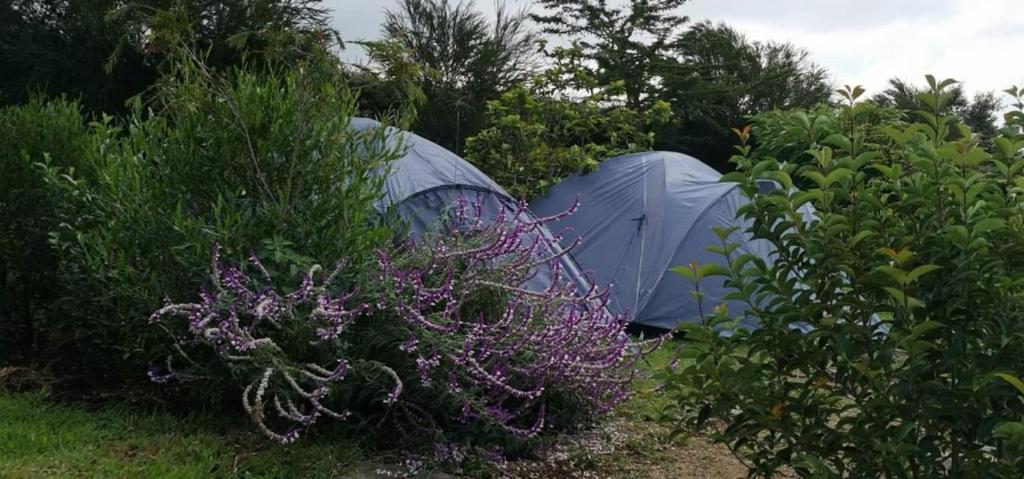 Camping Near Mt Longonot, Elwai Camping Centre