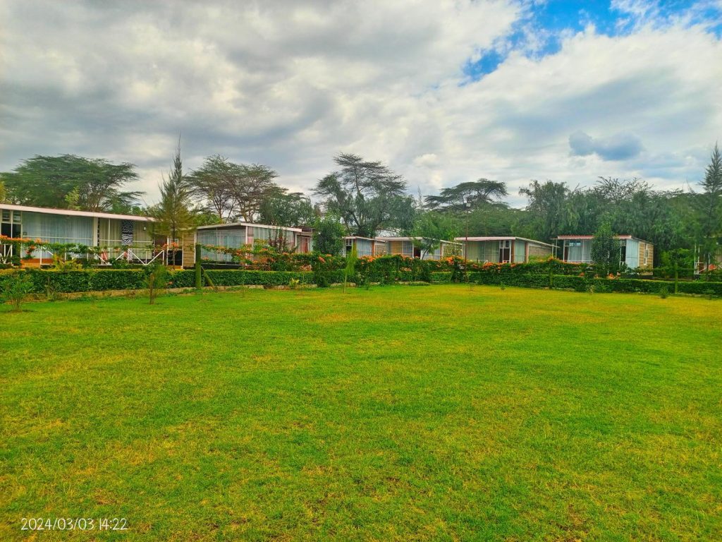 Hippo Watch Glass Cabins