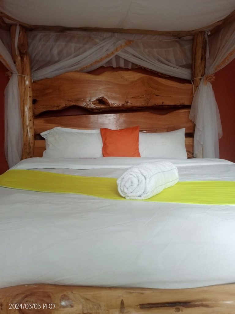 Hippo Watch Glass Cabins