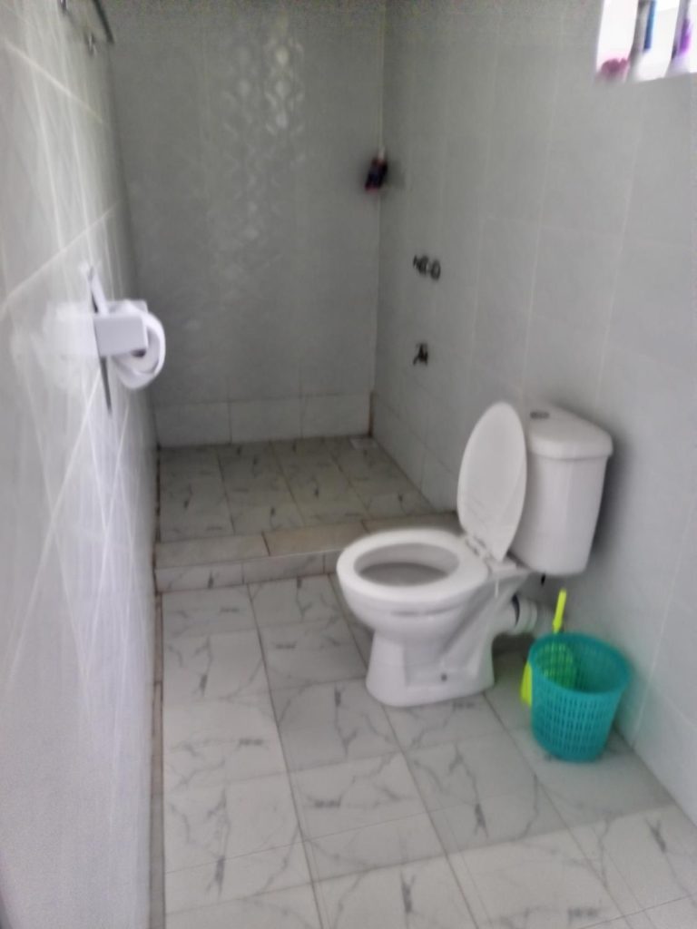 Hippo Watch Glass Cabins