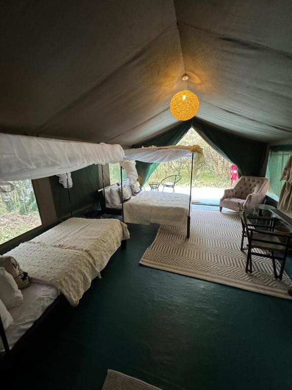 Olkinyei Mara Tented Camp