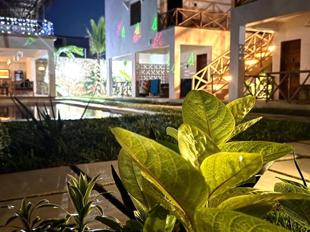 TATU INN Boutique Hotel