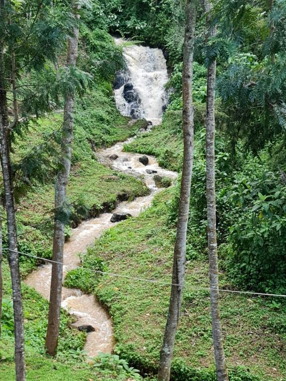 Paradise Farm Cottages Mbui