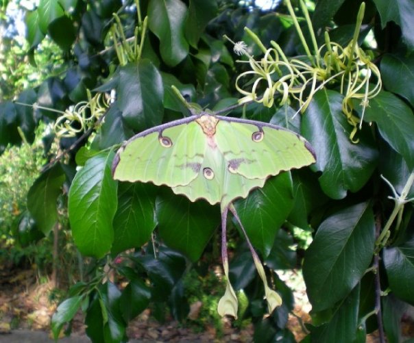 Watamu National Marine Park