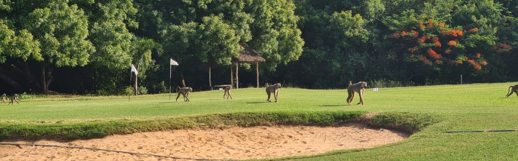 Diamonds Leisure Golf Club